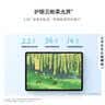 HUAWEI MatePad 11.5 2026 柔光版 华为平板电脑 护眼屏 鸿蒙AI 大电池 学生儿童学习机 12G+256G海岛蓝 实拍图