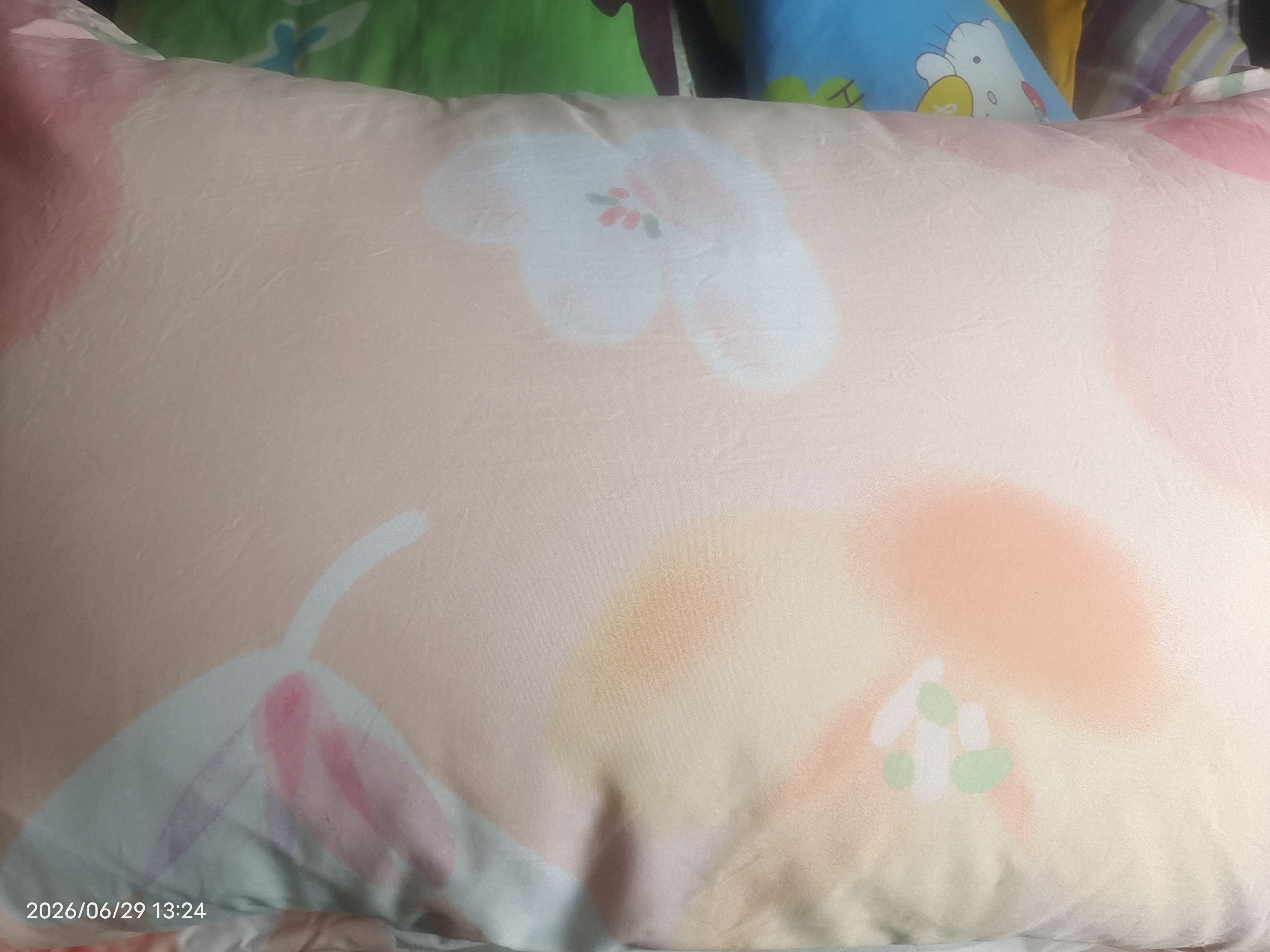 博洋家纺纯棉枕套印花枕芯套枕头套对枕套向阳花一对装48*74cm 实拍图