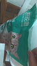 凯锐思豆腐猫砂除味猫沙豆腐砂豆腐渣低粉尘大颗粒结团吸水可冲厕所 【性价比豆腐砂8包】共36.8斤 实拍图