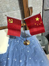 优和（UHOO）国庆节党旗国旗摆件办公室桌面会议室桌旗中国小国旗小红旗摆件家用带底座五星红旗帜 钛合金0277 实拍图