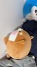 名创优品（MINISO）趴姿大号趣味狗狗毛绒公仔儿童玩具玩偶抱枕生日礼物女 灰色 实拍图