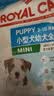 皇家狗粮 幼犬狗粮 宠物 小型犬 MIJ31 全价犬粮 2-10月 2KG 实拍图