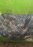 富昌东北黑木耳500g 肉厚无根 山珍特产干货菌菇凉拌火锅炒菜食材 实拍图