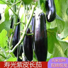 山东农家绿把紫皮长茄现摘现发新鲜嫩茄蔬菜生鲜 现摘新鲜茄子 5斤 净重 实拍图