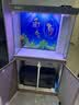森森（SUNSUN）大型鱼缸底过滤水族箱客厅家用落地玻璃生态金鱼缸 【实时温显+灯控】纳米灰 0.8米长35cm宽 实拍图