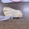 林饱饱【59.9任选10件】空气炸锅美食披萨芝士拉丝牛肉卷芝士热狗棒a 芝士鸡肉卷【奥尔良味】110g 实拍图