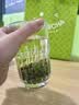 乐品乐茶毛尖茶叶特级明前春茶嫩芽2026新茶礼盒装250g冷泡茶绿茶自己喝 实拍图