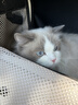 阿柴与猫猫包外出便携超大号双肩背包猫咪狗狗宠物包手提车载笼可折叠猫袋 实拍图