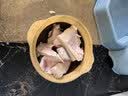 芳草地一次性饭盒1200ML加厚打包盒带盖快餐盒饭盒外卖饺子盒保鲜盒50个 实拍图