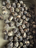 福茗源茉莉花茶龙珠 浓香型2026新茶绣球花茶叶自己喝口粮茶袋装250g 实拍图
