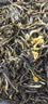 张一元茉莉花茶叶毛尖浓香型老北京伴手礼品春新口粮茶特种200g金罐装 实拍图