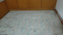 德尔玛（Deerma）【重磅新品】TJ700S 干吹两用吸尘器 家用商用 吸尘器桶式大吸力 整机降噪设计ZN-530 实拍图