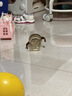 君乐宝【杨幂推荐】恬适小分子奶粉3段幼儿配方奶粉(12-36个月龄)800g 实拍图