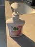 滴露（Dettol）洗手液滋润250g 儿童洗手液抑菌消毒宝宝 水润补充装试用 实拍图