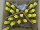 隆力奇蛇胆牛黄花露水喷雾型清凉舒缓止痒花露水95ml 实拍图