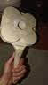 小熊（Bear）0氟早餐锅 陶瓷煎锅 平底锅不粘锅 煎蛋神器 明火专用 JG019-P01 实拍图