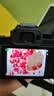 松下（Panasonic）Lumix G100D M43画幅相机 M43卡口 微单相机 无反数码相机 G100D+【12-60mm白盒】单镜套装 实拍图