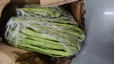 新飞（Frestec）空调 新一级能效 大1.5匹大1匹全铜管挂机 以旧换新 省电冷暖变频空调 家用壁挂式空调 单冷 大1匹 一级能效 提供基础安装服务 实拍图