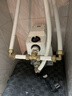 新界T500系列304不锈钢永磁变频增压泵400W全自动防冻家用全屋恒压泵 实拍图