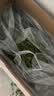 喜帅烘干紫花苜蓿草 幼兔兔粮牧草干草龙猫荷兰猪磨牙饲料净重750g 实拍图