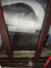 茨格曼鱼缸过滤棉专用过滤器白棉高密度加厚净化海绵水族箱生化过滤材料 实拍图