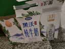 完达山高钙牛奶250ml*16盒 健康营养 丰富维D家庭早餐奶（2月产） 实拍图