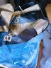 babycare皇冠LaLa裤狮子王国拉拉裤mini装L20片(9-14kg)便携尿不湿 实拍图