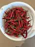 京鲜生 云南小米辣 净重500g 新鲜辣椒 新鲜蔬菜 源头直发包邮 实拍图