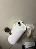 金牌厨柜（GOLDENHOME）吸盘厨房纸巾架免打孔厨柜用纸挂架抽纸卷纸架懒人抹布架保鲜膜架 实拍图
