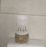 小林制药（KOBAYASHI）宠物用消臭元绿茶清香395ml空气清新剂家用香薰清洁除臭剂芳香剂 实拍图