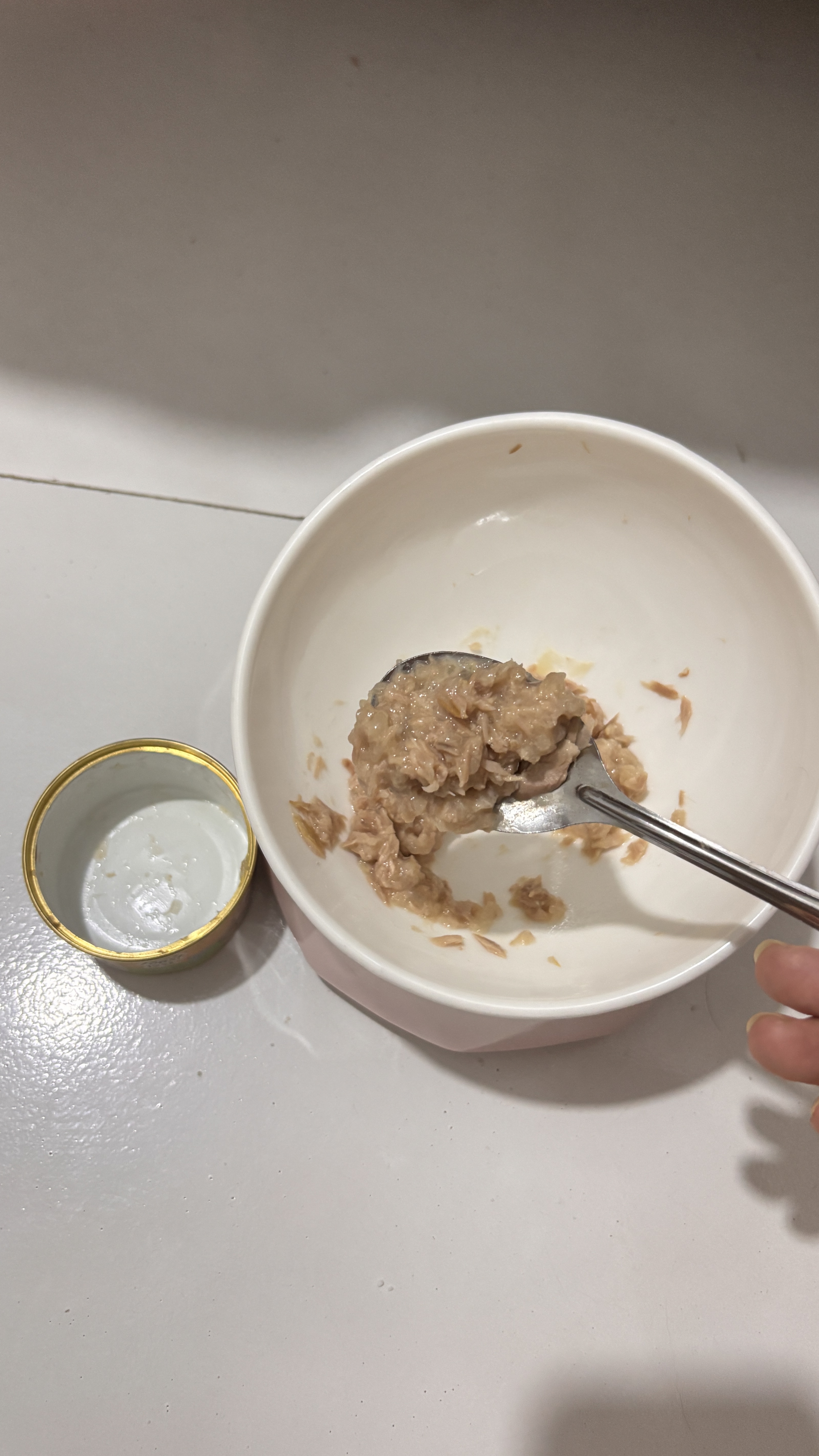 珍致猫罐头刺身罐85g*6罐金罐猫零食猫湿粮泰国进口成猫幼猫混合口味 实拍图