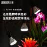 三思植物补光灯仿太阳全光谱 全光谱植物灯 盆栽花卉-30W三头分区补光 实拍图