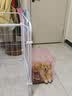贝初众狗围栏室内宠物围栏狗笼子狗栅栏狗笼小中大型犬猫围栏狗笼折叠 160*80*80【适合中大型犬】 【6片】自由拼接组合围栏 加粗加密框架/无惧啃咬 实拍图