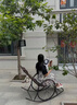 阳台家用躺椅休闲懒人午休逍遥椅大人客厅午老人摇椅仿藤椅摇摇椅 【手工圆藤 清爽透气】力学摇椅款-金红色 实拍图