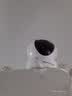 威视达康（VSTARCAM）4g监控器摄像头不需要网络360度无死角带夜视插卡式客厅语音监控无网络可以远程监控的摄像头 实拍图