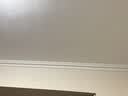 ubras虞书欣同款力挺杯聚拢侧收反重力小胸显大文胸罩粉底液内衣女 实拍图