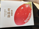 百瑞源出品 果小凡红枸杞原浆420ml*2盒 宁夏中宁红枸杞子鲜枸杞汁100% 实拍图