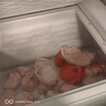 雪贝娜冰柜商用大容量全冷冻家用双温卧式冷柜展示柜 1188单温【铜管一级能效】长2米加宽 实拍图