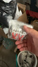 公牛（BULL）开关插座G57蝶翼超薄二开多控开关大面板开关 G57K214暮雪白暗装 实拍图