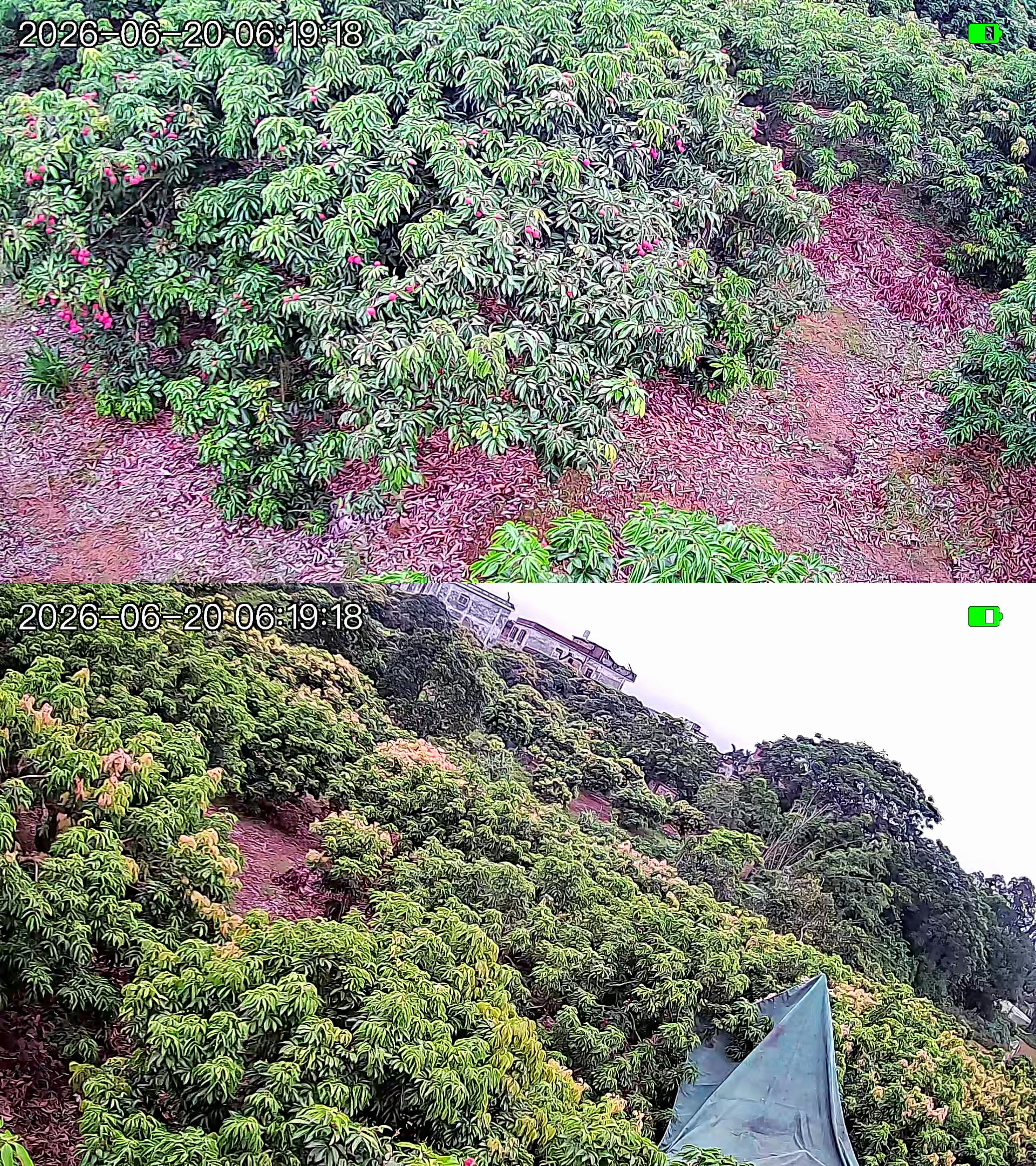 鸣胜4g太阳能摄像头室外无网无电高清无线监控器家用360度无死角无需网络wifi带夜视全景手机远程户外 太阳能4G双摄（双画面+无需网络+一直免费流量） 7天循环录像 实拍图