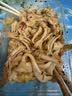 火鸡面混合口味泡面蟹黄76g芝士火鸡拌面整箱袋装方便面零食 30袋装【五种口味拌面】全家福 实拍图
