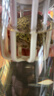 霸王茶姬（CHAGEE）缤纷冷泡茶袋泡茶包冷萃茉莉花茶奶茶水果绿茶乌龙红茶叶独立包装 实拍图
