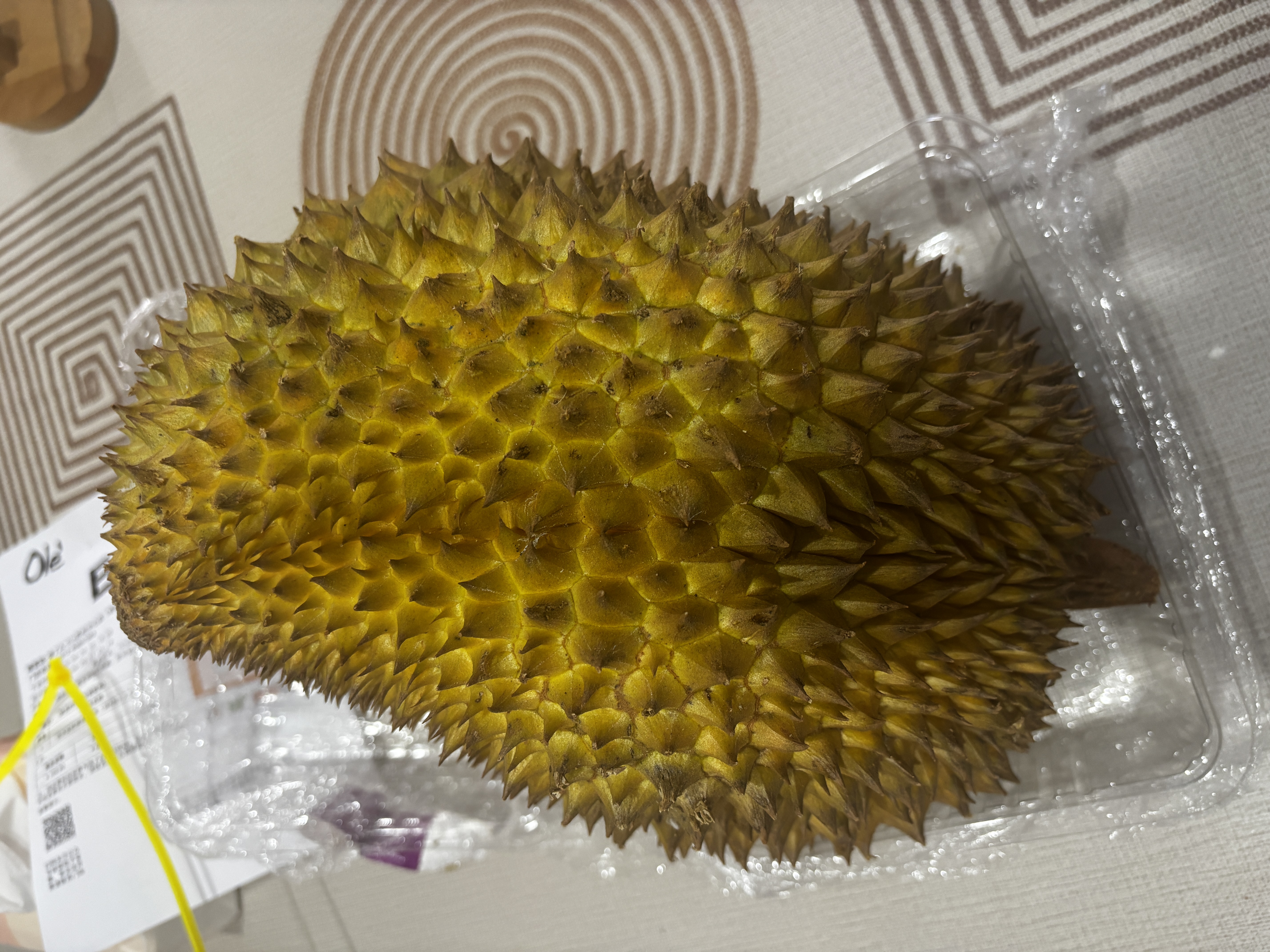 杰诺桶式大吸力吸尘器工厂车间粉尘工业吸尘机装修开荒洗车店吸水除尘机505-60L边推边吸 实拍图