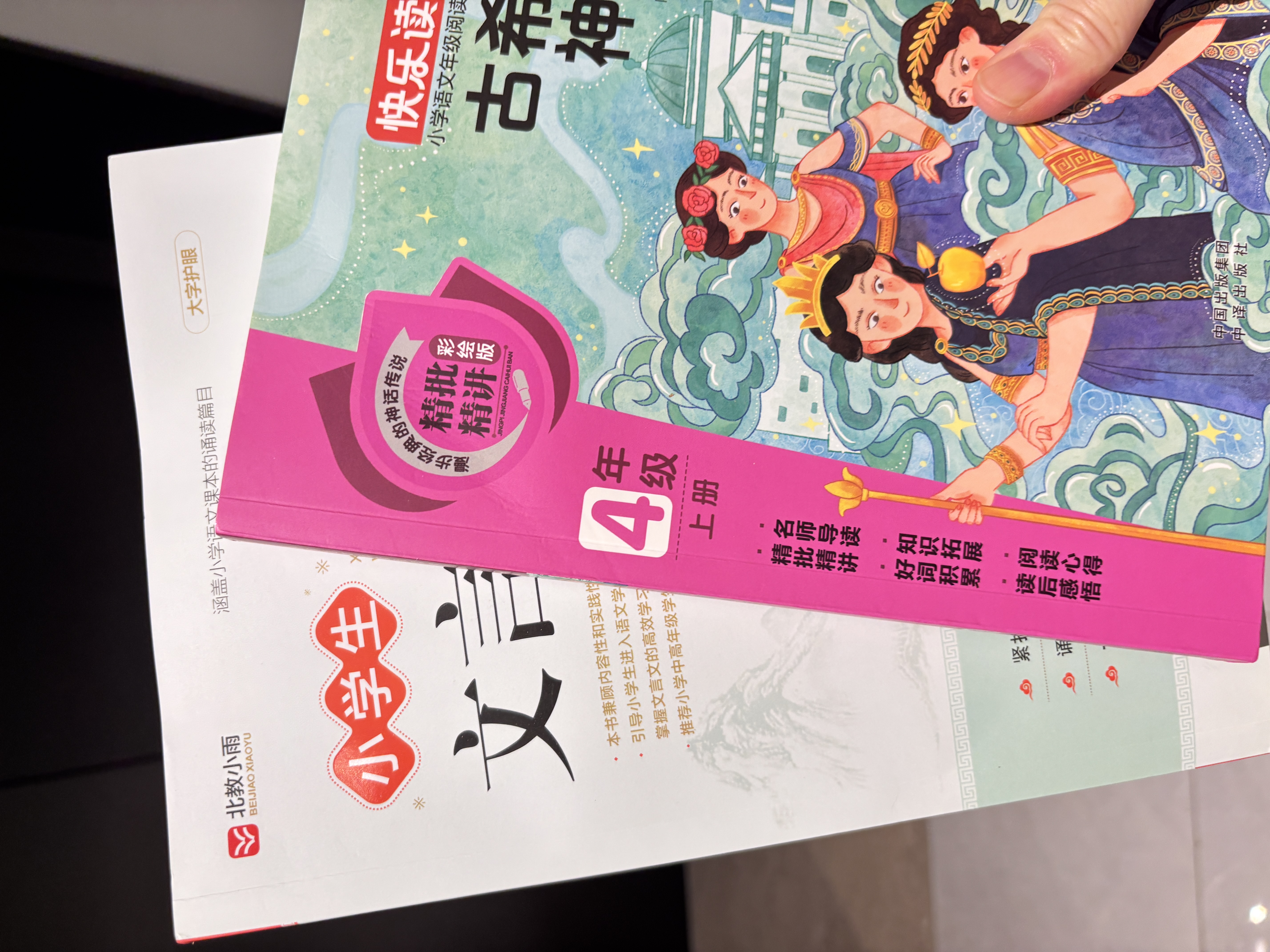 当当正版 狼王梦 动物小说大王沈石溪全套40册36册 沈石溪动物小说全套 斑羚飞渡最后一头战象等儿童文学中小学生课外书  当当书店官方旗舰店 狼王梦（升级版） 实拍图