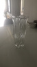 墨斗鱼花瓶轻奢玻璃高22cm大口径透明摆件郁金香富贵竹培容器生日礼物 实拍图