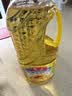 鲁花 食用油 物理压榨 剥壳去皮 葵花仁油1.6L【京东品酒会同款】 实拍图