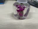 榄菊花艺蚊香液45mL*3瓶补充装电蚊香液防蚊驱蚊液电热蚊香液 实拍图