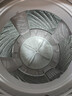 松下（Panasonic）抗菌除螨 波轮洗衣机 10KG 除螨羽绒羊毛洗 家用全自动XQB100-Q17CS 实拍图