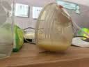 波咯咯（bololo）双边吸奶器电动无痛全自动吸乳微震通乳大吸力挤奶器 【新品·临床·专研款】微震V50免手扶随身杯 实拍图