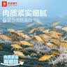 良品铺子烧烤小黄鱼100g*3即食海鲜零食小吃小鱼仔小鱼干休闲食品 实拍图
